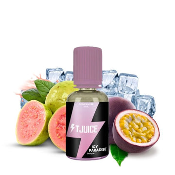 Icy Paradise 30ml - T-Juice